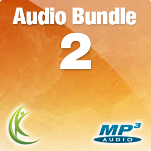 Audio Bundle 2 (MP3 Set)